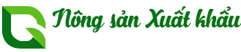 CÔNG TY TNHH ĐẦU TƯ XUẤT NHẬP KHẨU GOLDEN STAR.